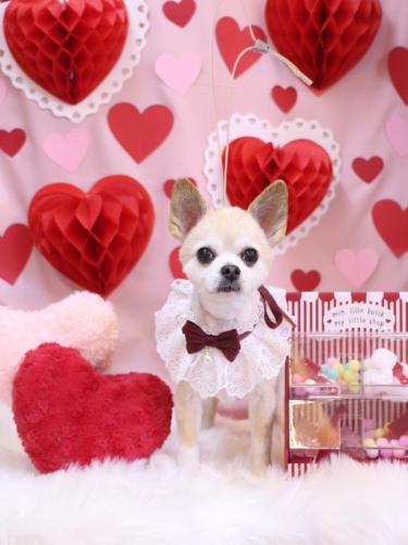 20240210チップくん